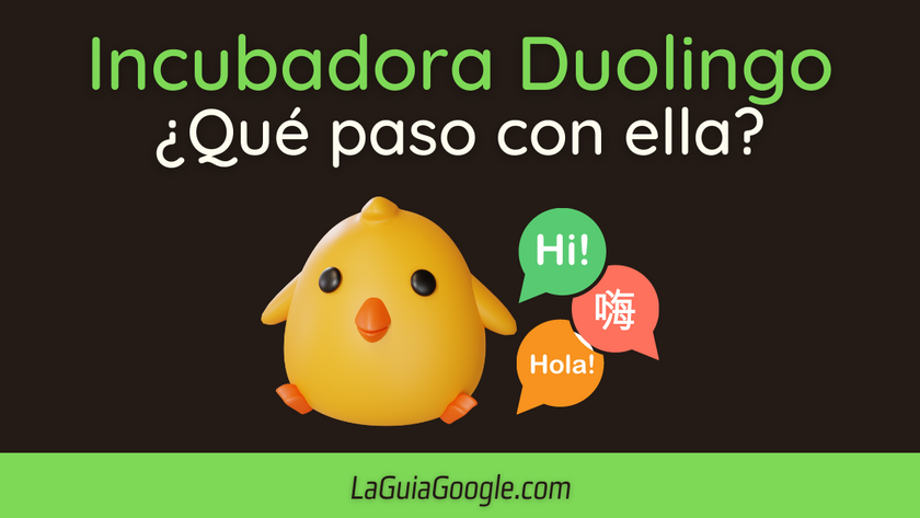 Incubadora de Duolingo Banner